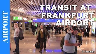 TRANSIT WALK AT FRANKFURT Airport FRA Terminal 1  Connection Flight Transfer Arriving amp Departing [upl. by Ridglea]